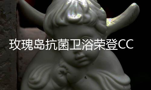 岛抗登实力见证