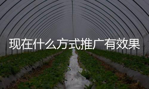 如果你要是推广做品牌的话
