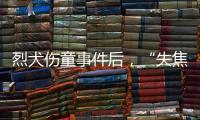 烈犬伤童事件后，“失焦”的多地捕狗风波