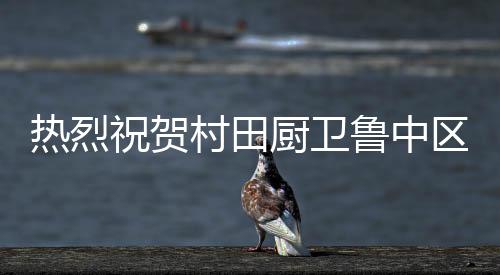村田厨卫市场部部长谢威女士