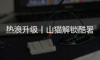 热浪升级丨山猫解锁酷暑施工新姿势�！