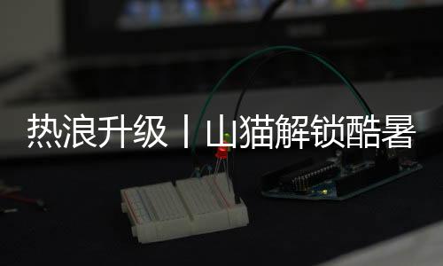 必要时甚至可通过窗口吊装