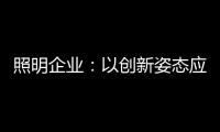 照明企业
：以创新姿态应对逆境 提升附加值