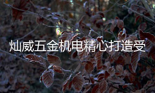 灿威五金机电工具品牌汇聚
