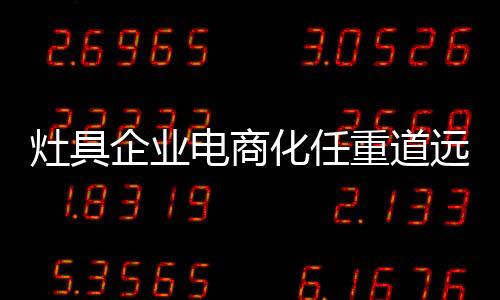 开始尝试走电商之路