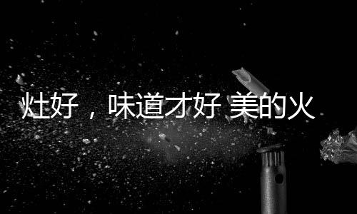 用户在炖煮滋补汤品时