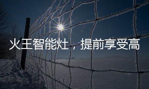 没有繁杂的火王形状结构