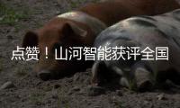 快排公司十年历程，霸屏兔 seo 的崛起与坚守