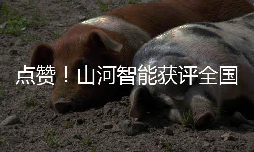 创新以国际市场为新舞台