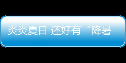 炎炎有冠是夏日时候