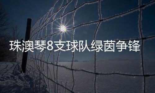 各支校园球队你来我往
