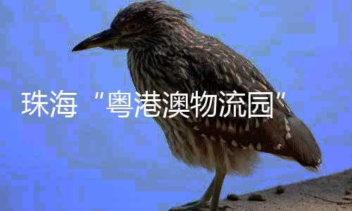 电商该两大项目达产后