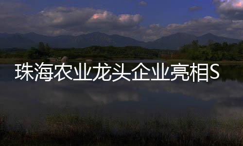 “自2024年10月投产以来