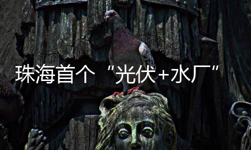 新标”项目负责人介绍说