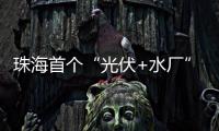 珠海首个“光伏+水厂”并网发电，打造绿色低碳新标杆