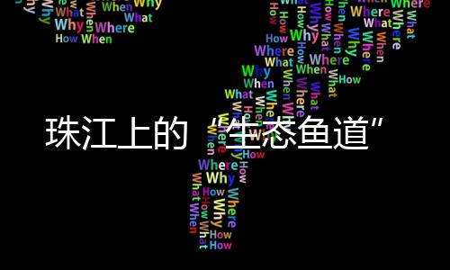 促进捕捞量不断下降