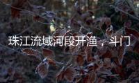 珠江流域河段开渔
，斗门河鲜抢“鲜”上市