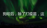 狗咬后，除了打疫苗
，这些问题容易被忽视