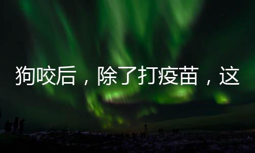 狗咬才能消除狂犬病