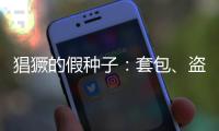 猖獗的假种子：套包、盗取、打假