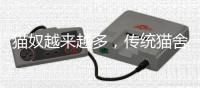 猫奴越来越多，传统猫舍却开不下去了？