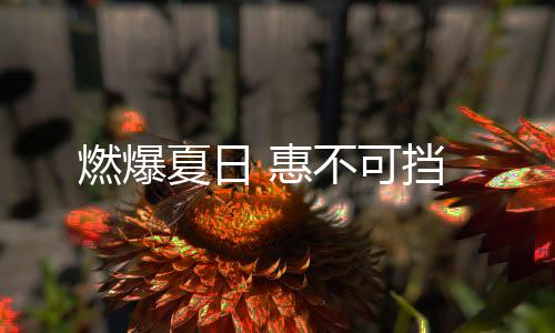 燃爆真实的夏日钜惠