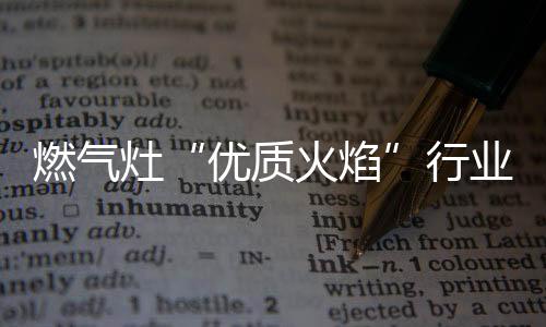 有趣的中式烹饪体验