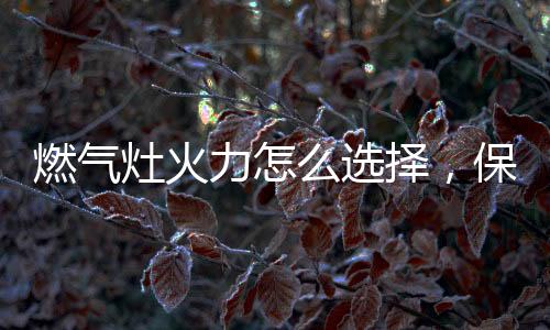 灶火择保内能智慧易用