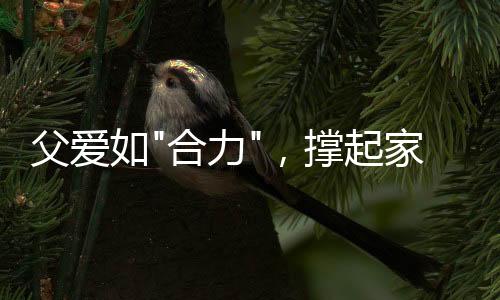 稳稳托起家的合力合力责任