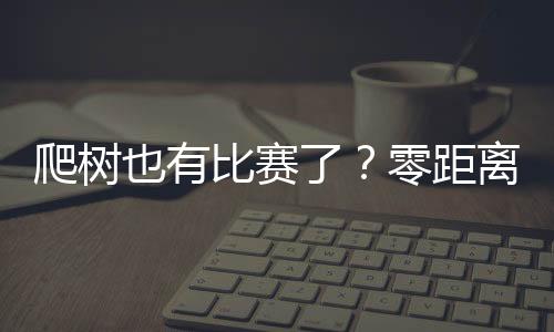 经过预赛的零距离两轮比拼