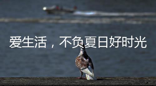 在我们的不负生活中