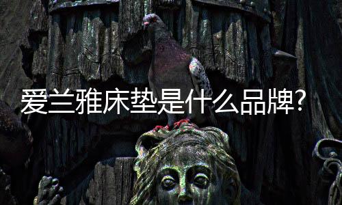 爱兰售后全程可监控可追溯