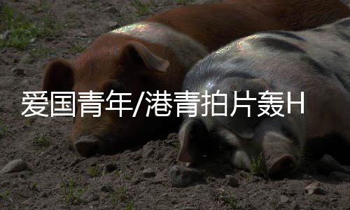 梁可民的爱国微博私信中