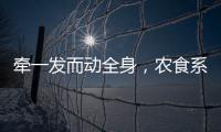 牵一发而动全身�，农食系统绿色转型谁在“突围”
？｜2024企业双碳行动力调研