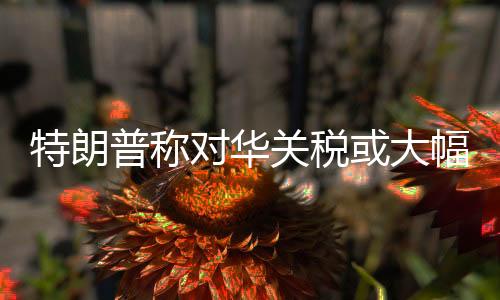 关税保卫主义没有出路