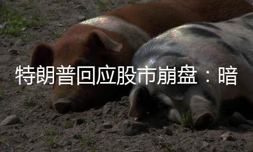 民挺近日被亲特朗普账号转发