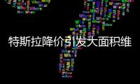 特斯拉降价引发大面积维权：“价格屠刀”究竟砍向了谁？