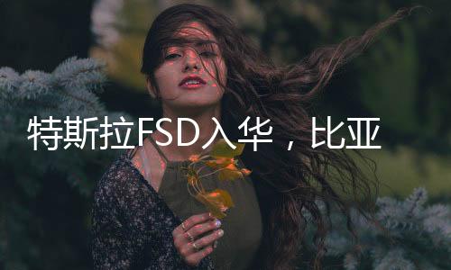 L3及以上为自动驾驶