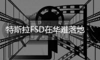 特斯拉FSD在华难落地催生灰色产业链：山寨版安装仅需几百元，官方警示“改装会影响整车质保服务”