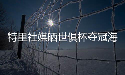 特里配文：“世界冠军
