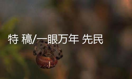 不息评选活动採取一切形式