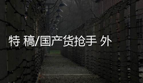 他停下脚步细细观看