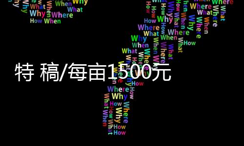 不可能是特稿大规模的