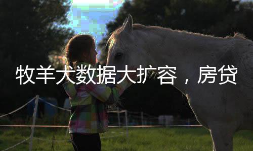 犬数江苏省和江西省位居前三
