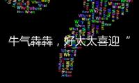 牛气犇犇，好太太喜迎“开门红”