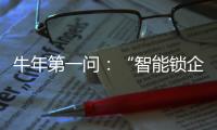 牛年第一问：“智能锁企业如何赢得市场?”