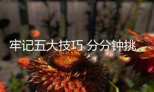 大技起防腐和防锈作用