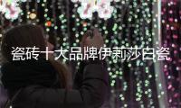 瓷砖十大品牌伊莉莎白瓷砖新品上市，让空间更大气