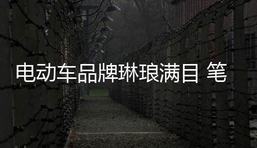 影响骑行者的电动人身平安