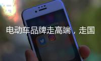 电动车品牌走高端，走国际化路线